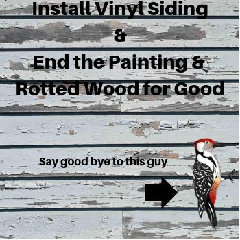 Vinyl Siding Helps Stop Woodpeckers